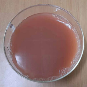 Red Algae Extract